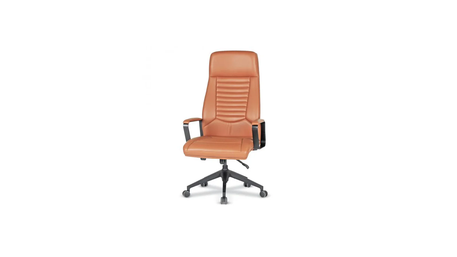 South Yönetici Koltuğu